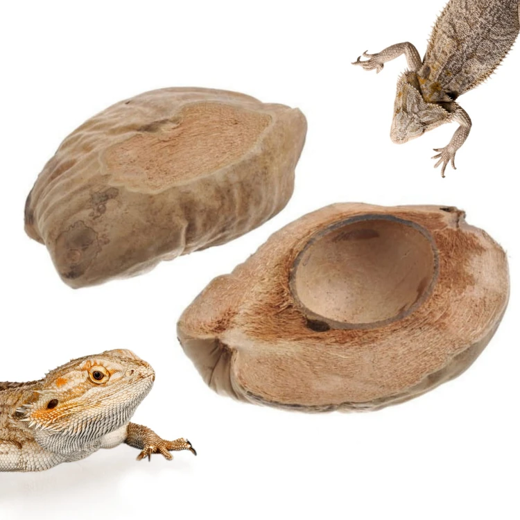 f1bbe068348711350ac678748d268947