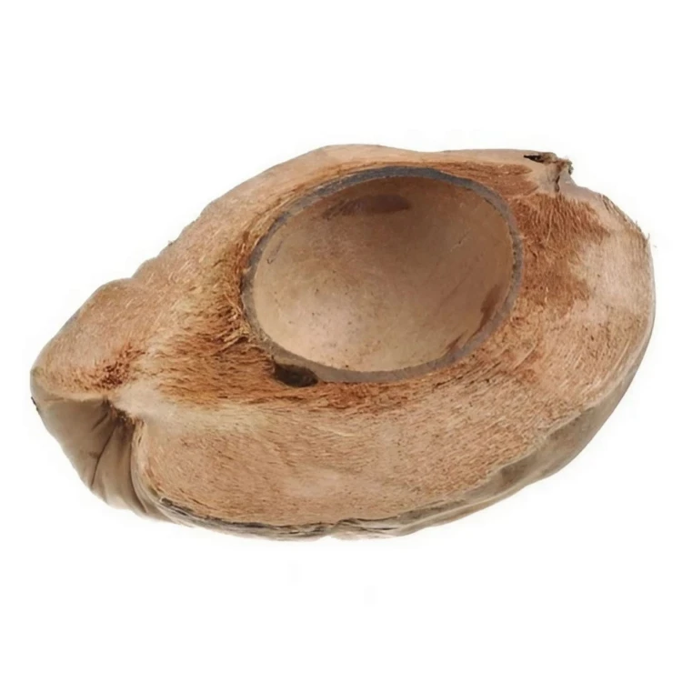 10c2bf274aa1258bf1c26eda11dc94a8