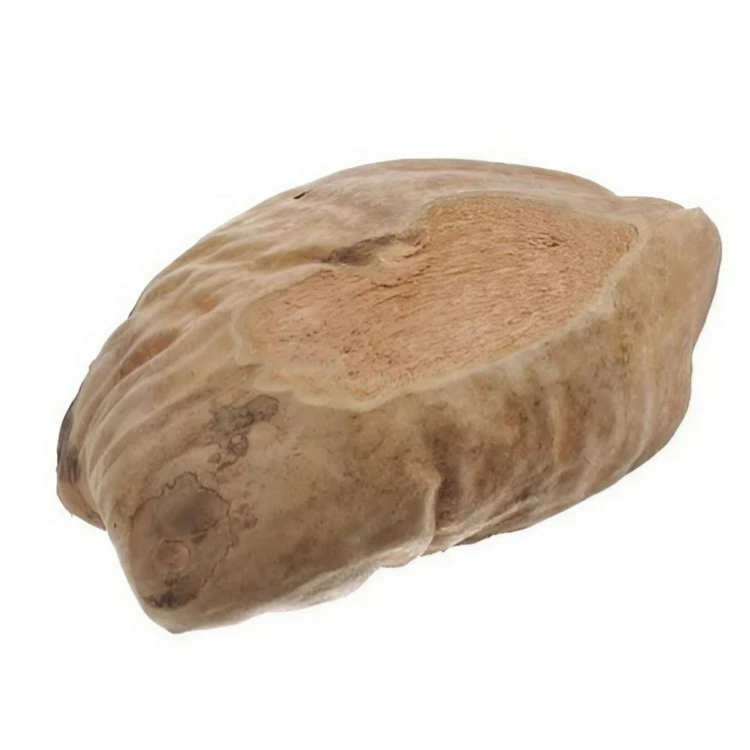 ea9511f883d2b7f599d8638d6dc12579