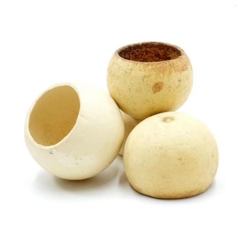 4c7ff4aba79b71163095ffe89a3be5db