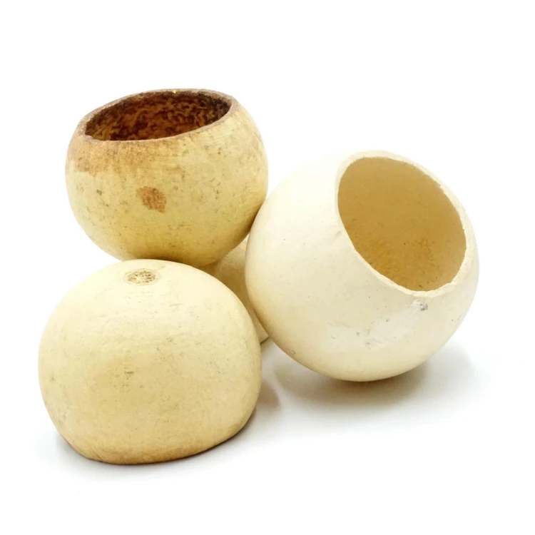 a5341c569b67411d503eea000e4da270