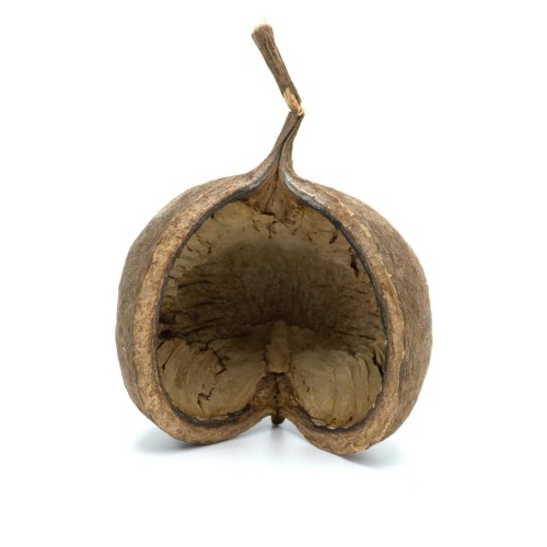 57a042a00e75301decc7ba9927decb31