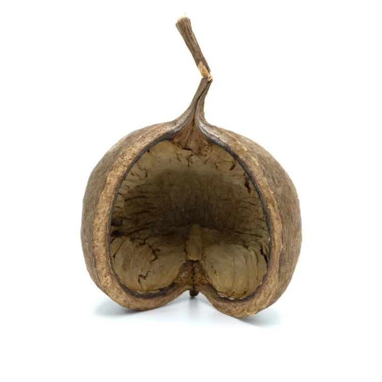 57a042a00e75301decc7ba9927decb31