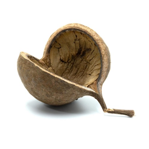 4ac3660074a6245bc5905fdbc8e6c11a