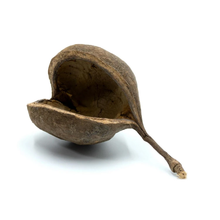 5289ce63757714b04a1ef48e3b53e698