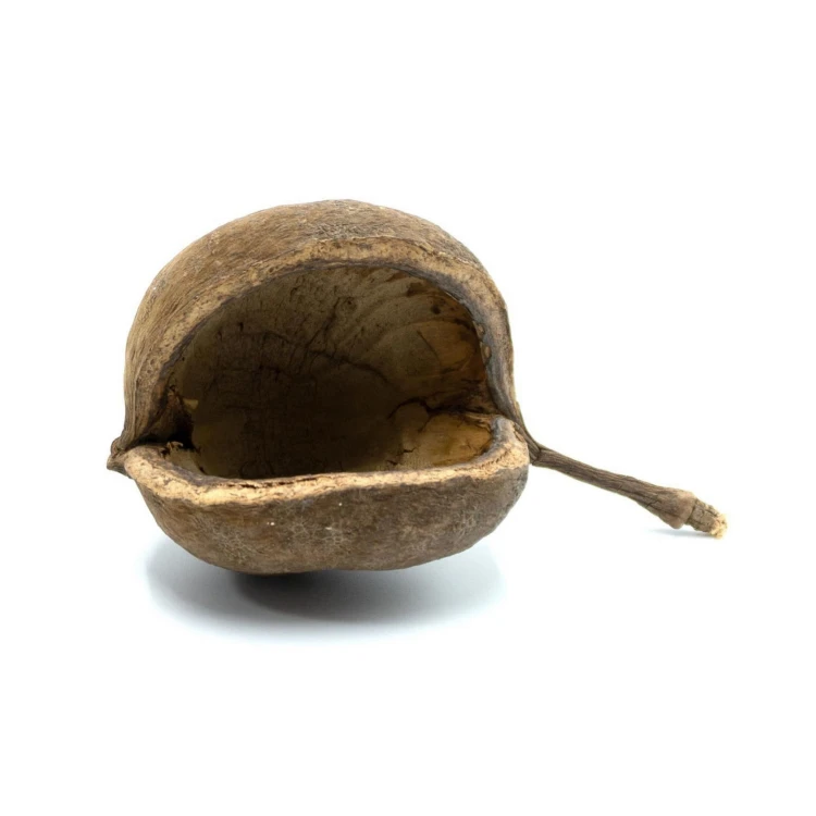 d1b56174133d046d195dfa9f1815cee7