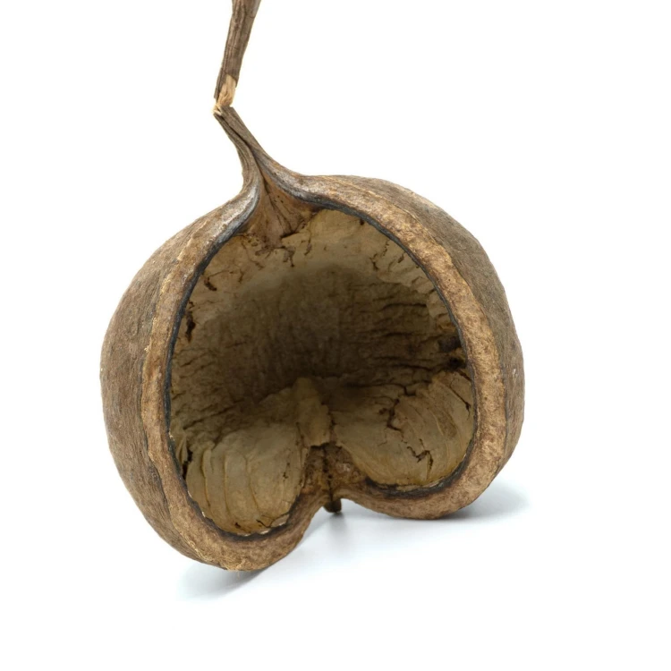 b7fcf19c2b2168243421fafbfb8de0b6