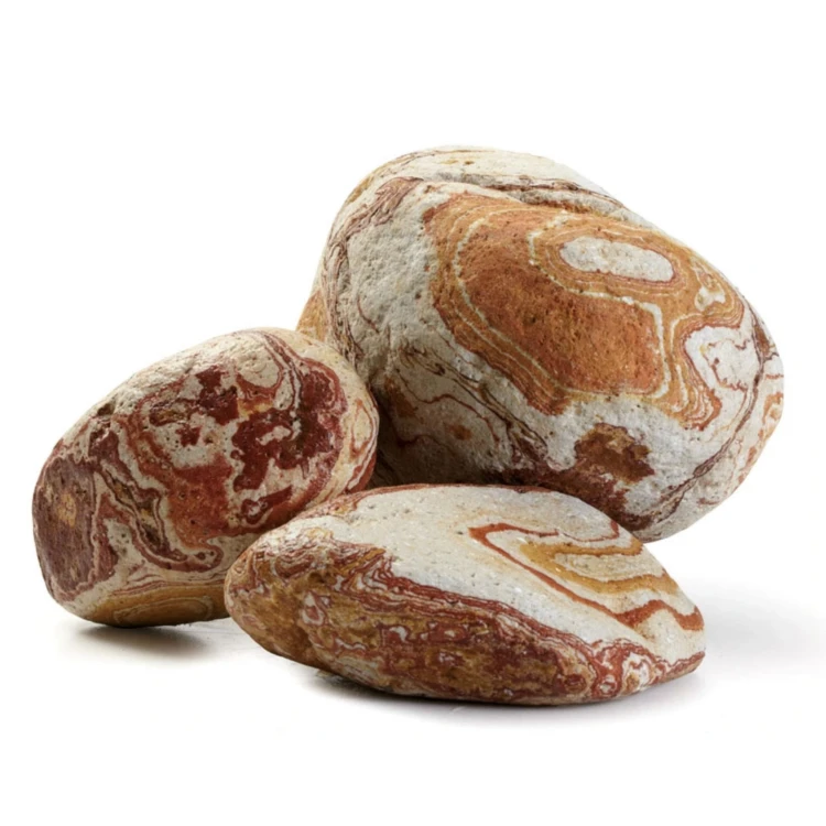 b7c9fffdb55c372d6827863ed1ab4462