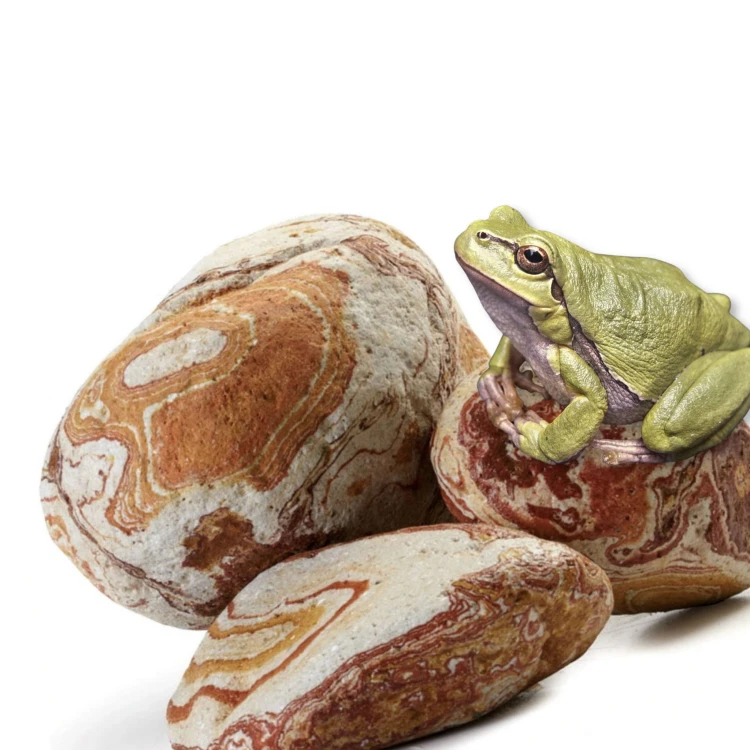 41366847c7c0603127b77c9c10028d3f