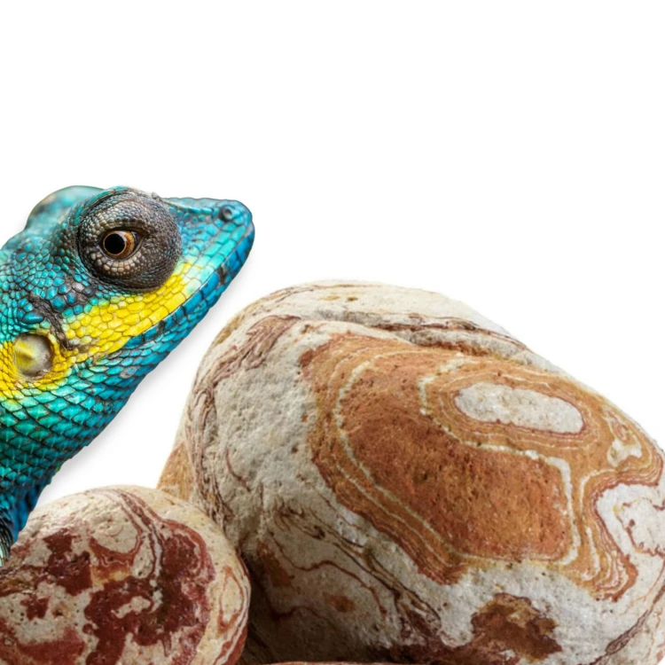 a82be39f038659f10f36199a65edd6e6