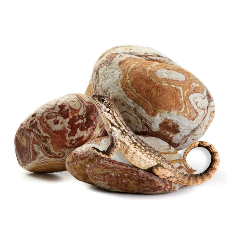 68b73dbebaa72dc4090ad18aa8a2b3cd