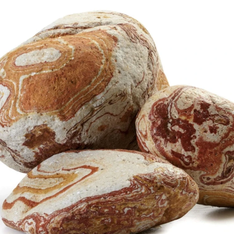 3dae8d5f7043f0cf55a8f407dc164406