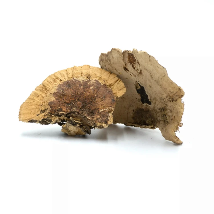 686df475d1188674d7293b9153fcd169