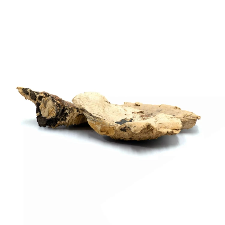 a557618112d6804caeb5bd11677440e9