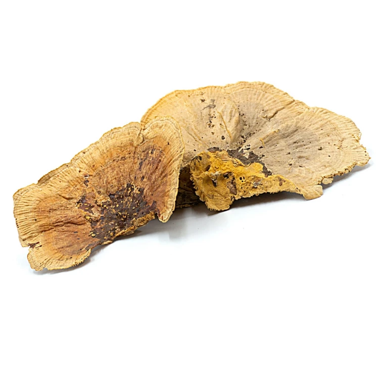 3e05448f7d84c80163b7dad524d99093