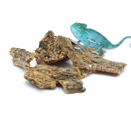 f20bc14104def1c4c5dc23f41d08568f