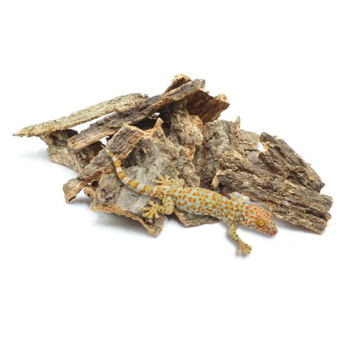 dc30b89dd201b29cff245e20eeb0f4bf