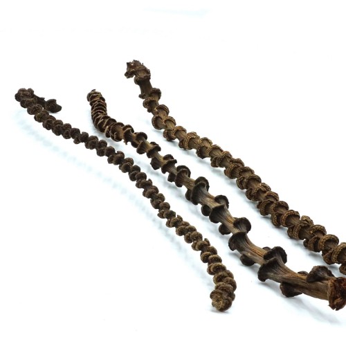 90fd043c4e9b586e63cfcfff60bc418b