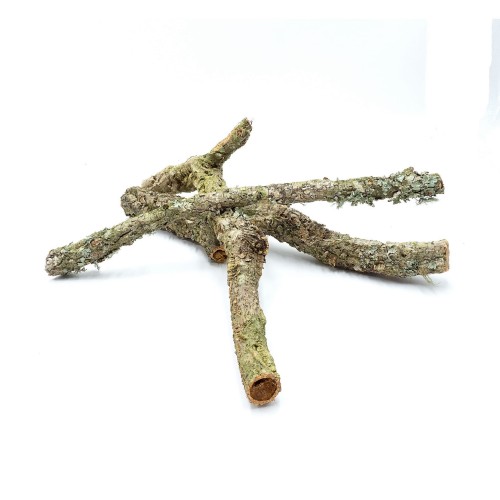 659e946ba5372a6f1f293e23d7419af7