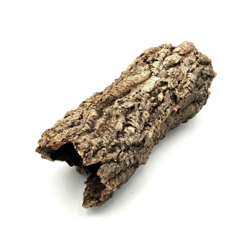 a0054f0817ecbf5713270c11c5a40e24