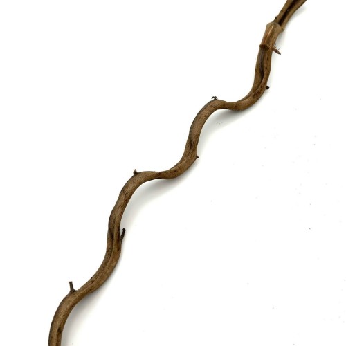 291a37fdf03bc81ec6100019a18c8839