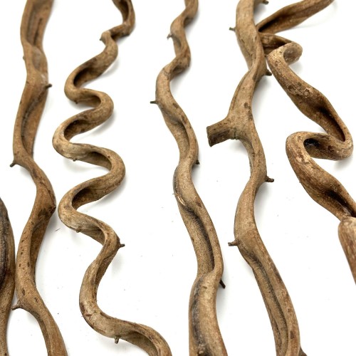 19d20419d785c6c4122cacc122e97012