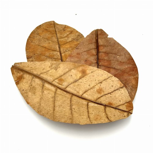 d5384b1d1b372c9da05f574a7fde91ab