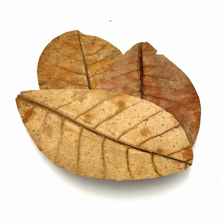 d5384b1d1b372c9da05f574a7fde91ab