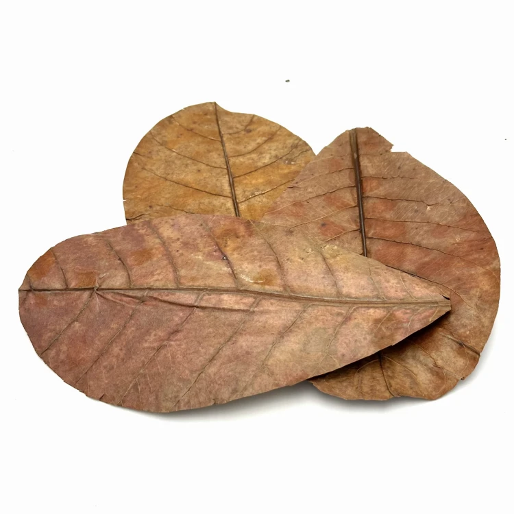 72e2013ecc00dc22a520bf660d13fa10