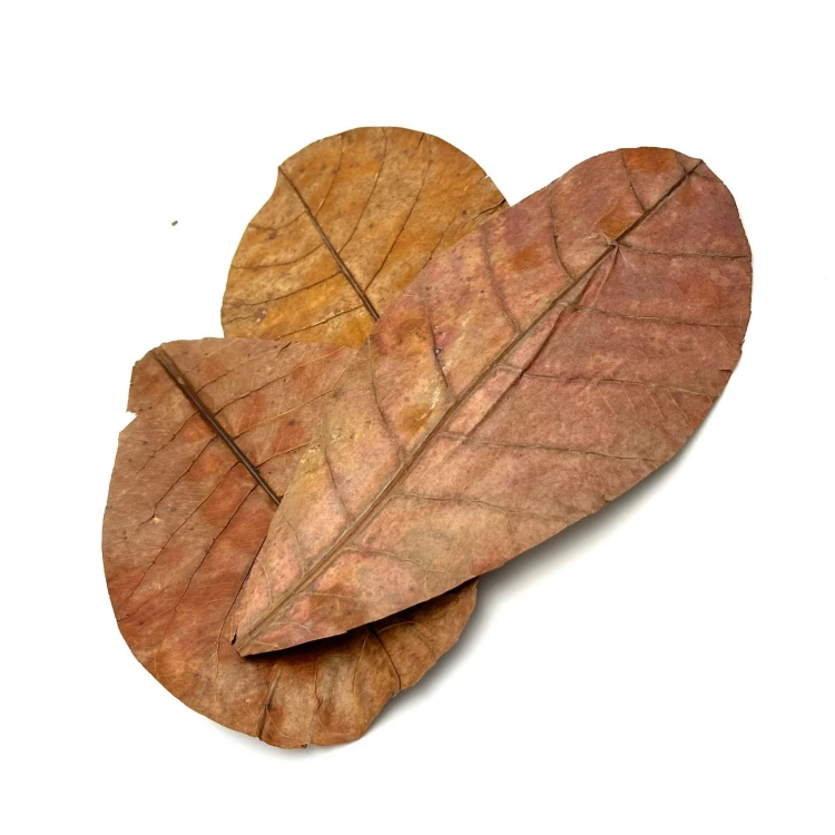 0965fd4cc7a542410bc4dc07ff9ec5dc