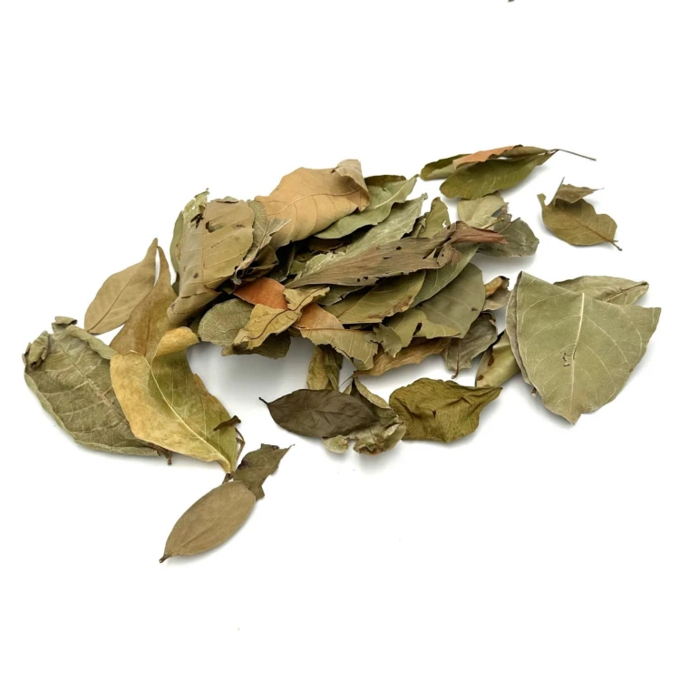 5a6b43172d3cab6a9eb75511f61029e0