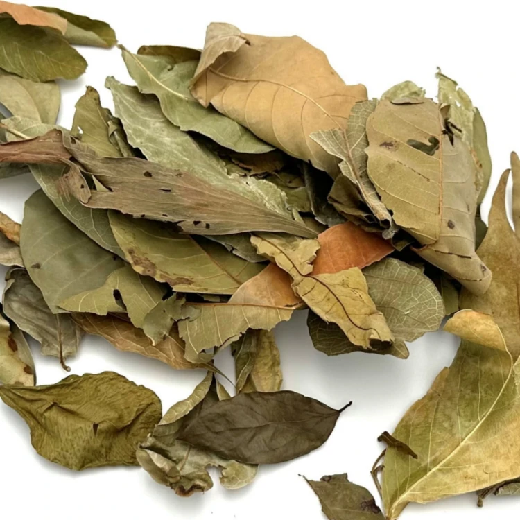 1556cbf2027d5fc7eeaf2cb746568fe1