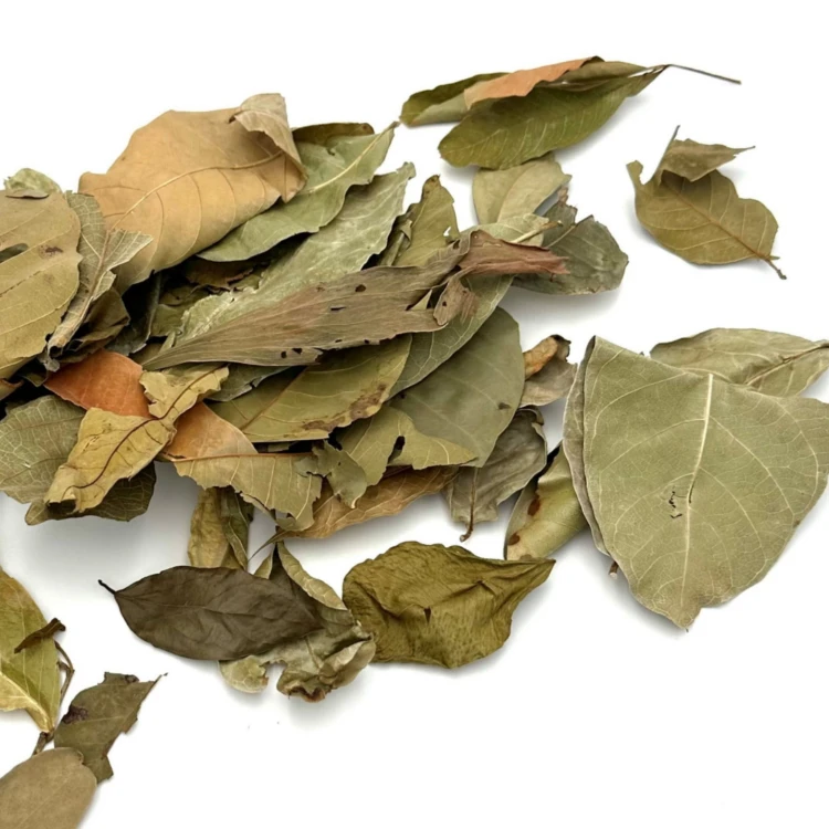 a1d29dbec03f9240cb9f3ce9b4cc9113