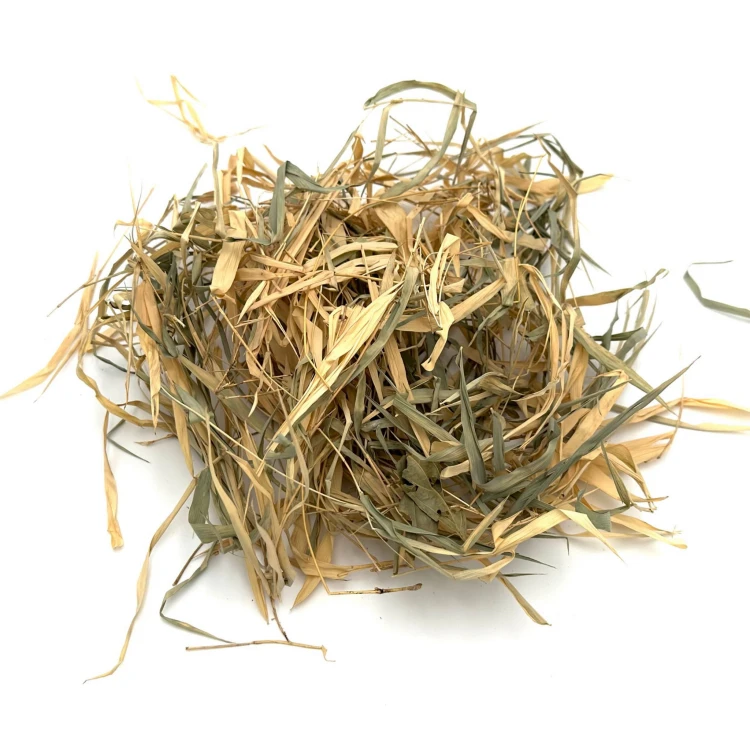 ae017ef578e3164bb32c416610a2073c