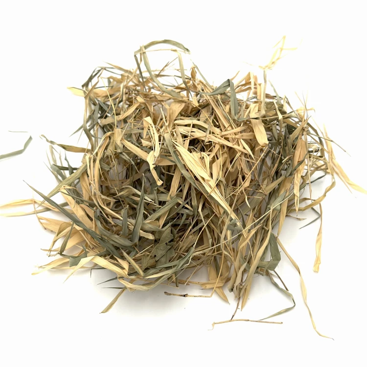 4c021b226373cf8c44a7eb9db1e75f52