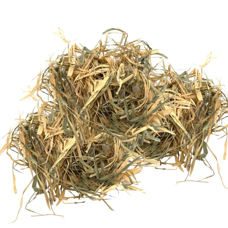 27a00d25d8248c32ec608634c18ba7ef