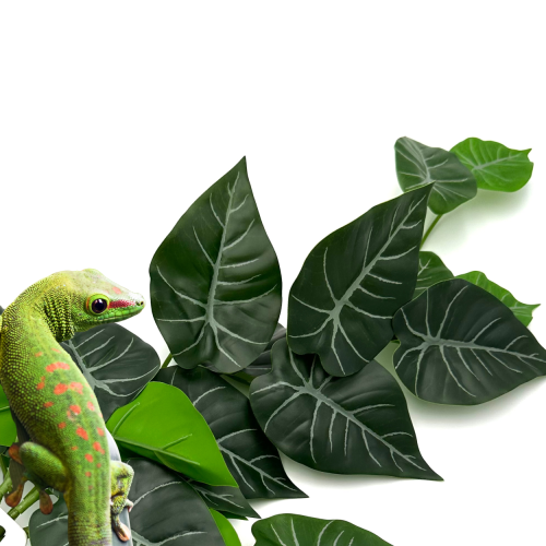 89561d7ee8695dd5bdd74865a9d8290b