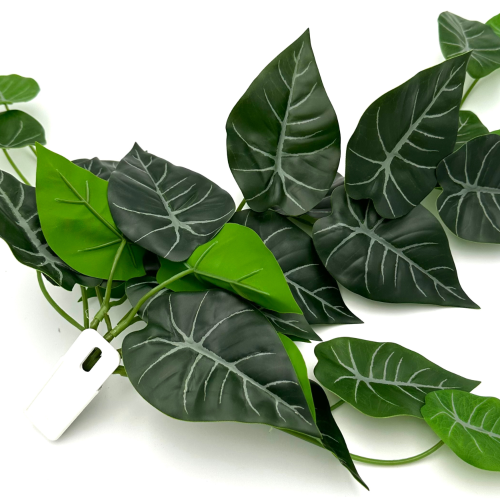 c27a3e269a50f3a5854301ace77553c6