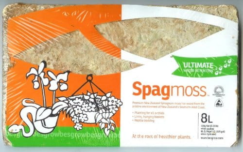 spagmoss100g.jpeg