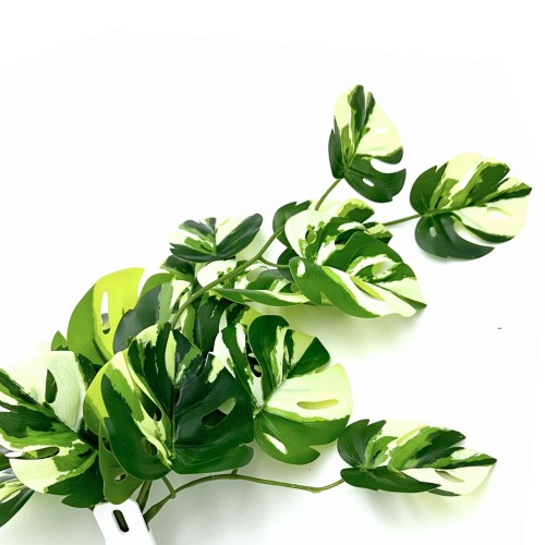 ca4435eb9b322dbfd8b45f2980181728