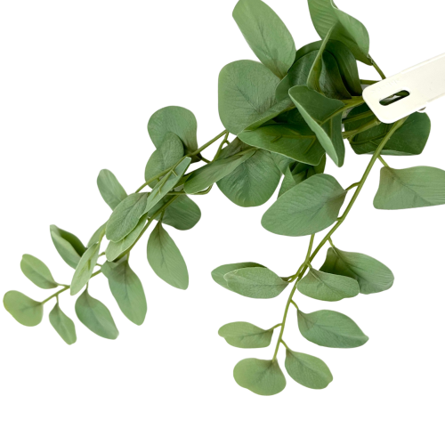 5a793a399409834ad48325475e54303f