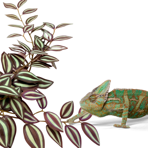 a6d1b03fd343b9765232b5f7e488c577