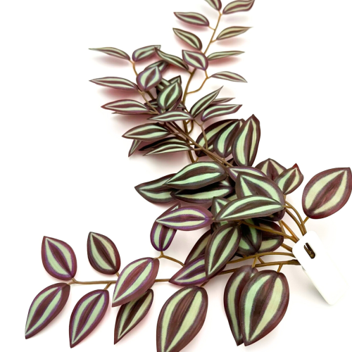 fb3cc5757cbb73389faeb54041f36272