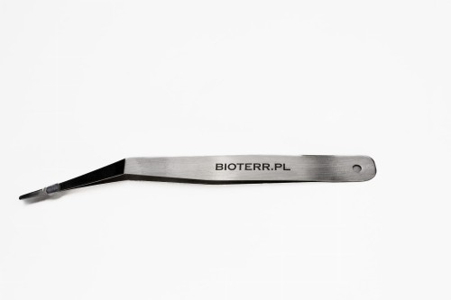 zakrzywiona miękka.jpeg