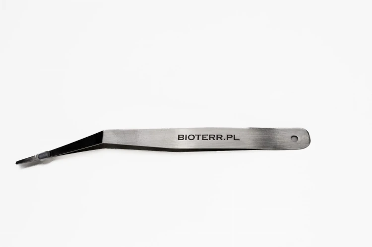 zakrzywiona miękka.jpeg