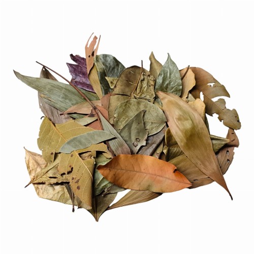 492b029e6887529da4c08de1e583a78c (1).jpg