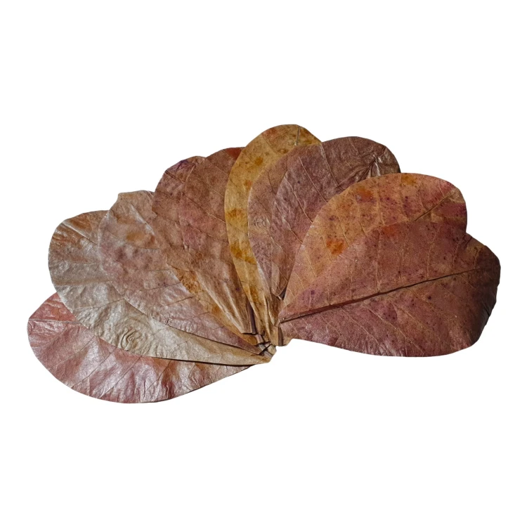 75cef4786c29b6ab1d122f6839303e4c