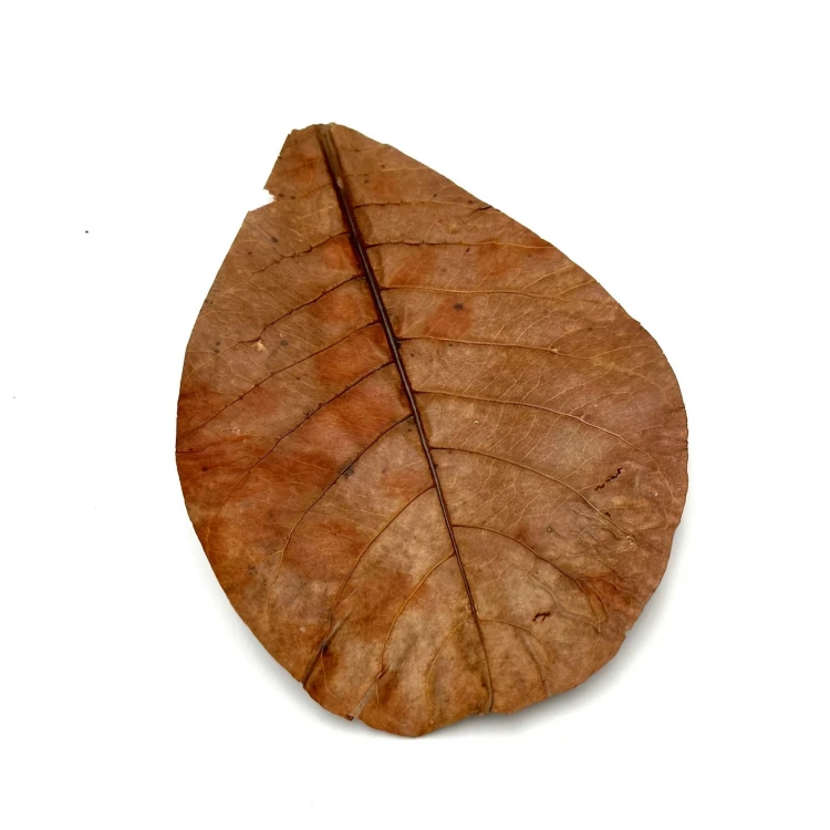 c092f95d7bcf6ec4ab1cd57d3c81b5a5