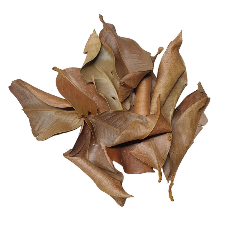 dfb83cf7eaf5d32824303000189b00df