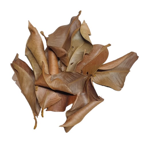 f13c67a431b4d2673dd9c88fc338ec9c